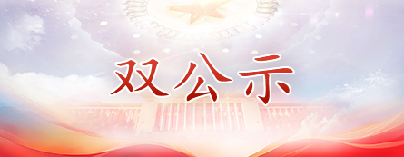 雙公示